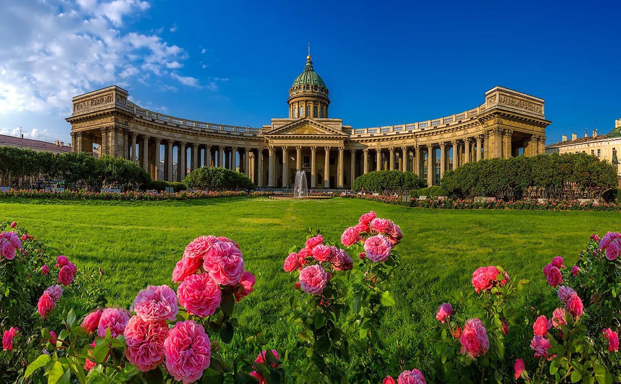 Петербург в цветах